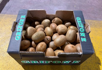 Foto Kiwi Hayward Calibro 140/160 Origine Italia Marchio Grifone      1