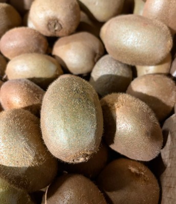 Foto Kiwi Hayward Calibro 140/160 Origine Italia Marchio Grifone      2