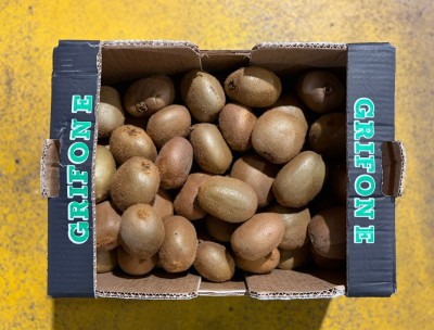 Foto Kiwi Hayward Calibro 140/160 Origine Italia Marchio Grifone      3