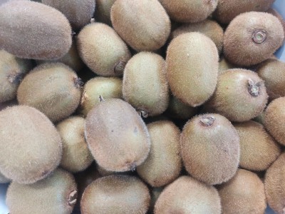 Foto Kiwi Hayward Calibro 18/20 Origine Grecia Marchio Giontis 2