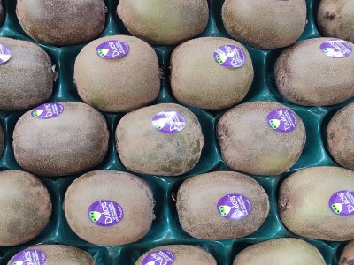 Foto Kiwi Calibro 125/135 Origine Italia Marchio Dulcis 2