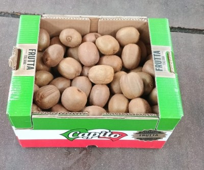 Foto Kiwi Hayward Calibro 20 Origine Italia Marchio Capito    1