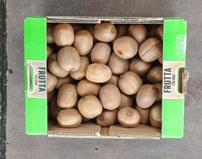 Foto Kiwi Hayward Calibro 20 Origine Italia Marchio Capito    3