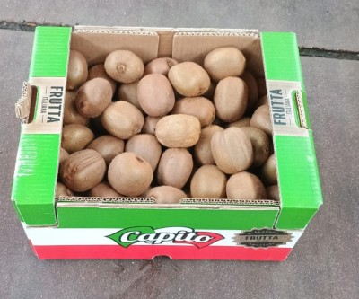 Foto Kiwi Hayward Calibro 95/110 Origine Italia Marchio Capito 1