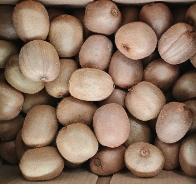 Foto Kiwi Hayward Calibro 95/110 Origine Italia Marchio Capito 2