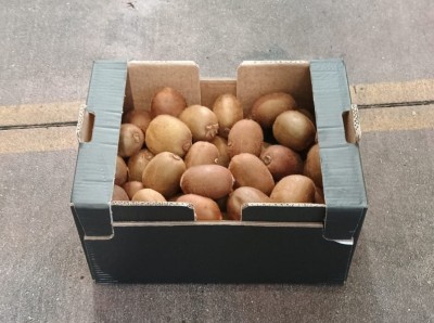 Foto Kiwi Varietà Hayward Calibro 27 Origine Italia Marchio Cartone Nero  1