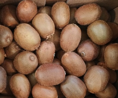 Foto Kiwi Varietà Hayward Calibro 27 Origine Italia Marchio Cartone Nero  2