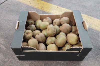 Foto Kiwi Verdi Calibro 105/120 Origine Italia Marchio Alegra            1