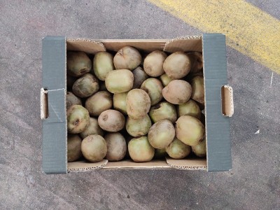 Foto Kiwi Verdi Calibro 105/120 Origine Italia Marchio Alegra            3