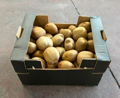 Foto Kiwi Hayward Calibro 140/160 Origine Italia Marchio Alegra 1