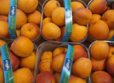 Foto Albicocche Varietà Farbalia Calibro 55+ Origine Italia Marchio Triolo          2