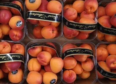 Foto Albicocche Varietà Pricia Calibro 45+ Origine Italia Marchio Sant'Andrea  2
