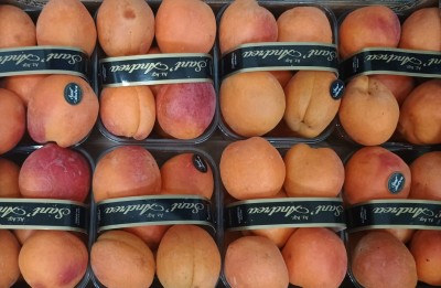 Foto Albicocche Varietà Orange Rubis Calibro 55+ Origine Italia Marchio Sant'Andrea  2