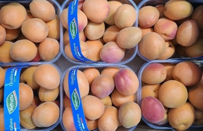 Foto Albicocche Varietà Fabalia Calibro 45+ Origine Italia Marchio Valfrutta 2