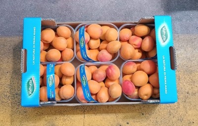 Foto Albicocche Varietà Fabalia Calibro 45+ Origine Italia Marchio Valfrutta 3