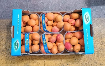 Foto Albicocche Varietà Farbaly Calibro 45 + Origine Italia Marchio Valfrutta   3