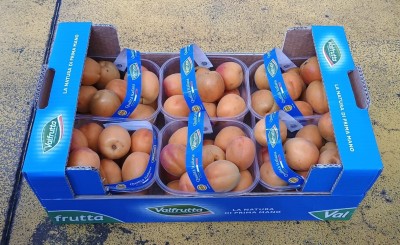 Foto Albicocche Varietà Flopria Calibro 50+ Origine Italia Marchio Valfrutta  1