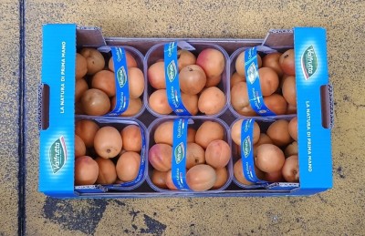 Foto Albicocche Varietà Flopria Calibro 50+ Origine Italia Marchio Valfrutta  3