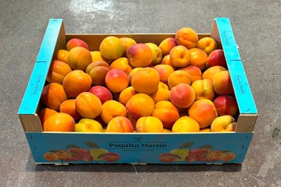 Foto Albicocche Cebas Red Origine Spagna Marchio Martina 1