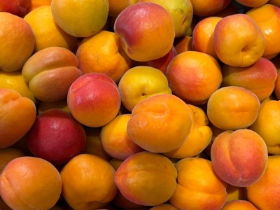 Foto Albicocche Cebas Red Origine Spagna Marchio Martina 2