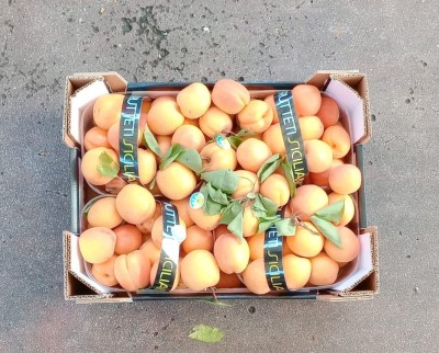 Foto Albicocche Varietà Mocador Calibro 45+ Origine Italia Marchio Frutteti Siciliani  3