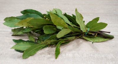 Foto  Alloro  A mazzi Origine Italia Marchio Agriroma 1