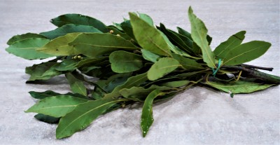 Foto  Alloro  A mazzi Origine Italia Marchio Agriroma 2