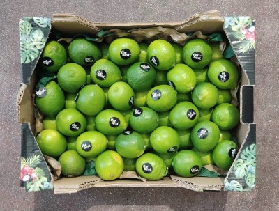 Foto Lime Varietà Tahiti Calibro 54 Origine Spagna Marchio The Best             3