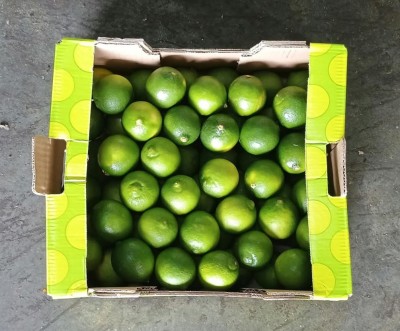Foto Lime Varietà Tahiti Calibro 60 Origine Spagna Marchio Korimbo 3