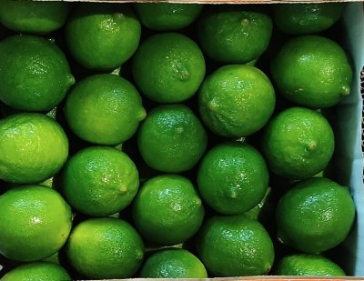 Foto Lime Calibro 54/60 Origine Messico Marchio Fresh Quality Lime        2