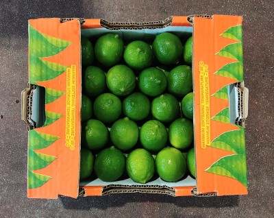 Foto Lime Calibro 54/60 Origine Messico Marchio Fresh Quality Lime        3