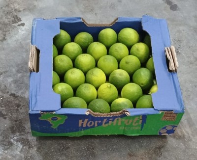 Foto Lime Varietà Limes Calibro 54/60 Origine Brasile Marchio Hortofruti        1