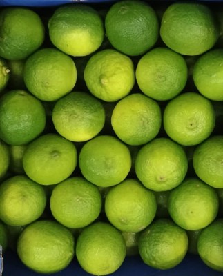 Foto Lime Varietà Limes Calibro 54/60 Origine Brasile Marchio Hortofruti        2