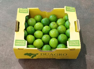Foto Lime Calibro 54/60 Origine Brasile Marchio Natural Citrus 1