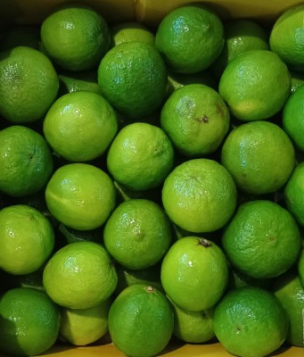 Foto Lime Calibro 54/60 Origine Brasile Marchio Natural Citrus 2