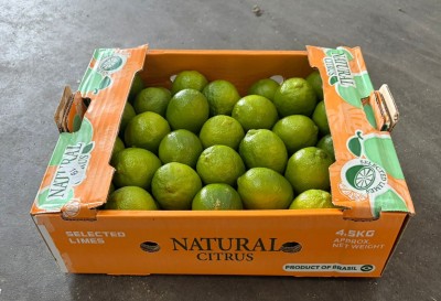 Foto Lime Calibro 55/60 Origine Brasile Marchio Natural Citrus 1