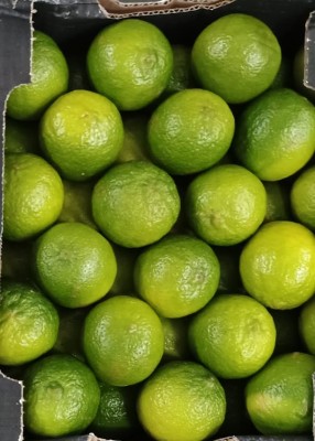 Foto Lime Calibro 54 Origine Brasile Marchio Select LIme  2
