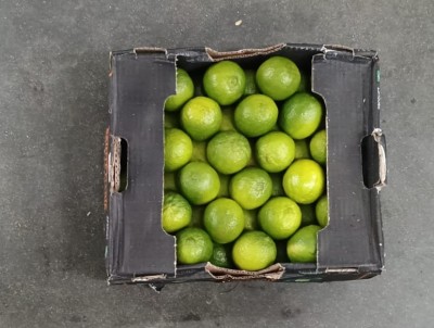 Foto Lime Calibro 54 Origine Brasile Marchio Select LIme  3