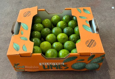 Foto Lime Calibro 54/60 Varietà Limes  Origine Brasile Marchio Select Limes 1