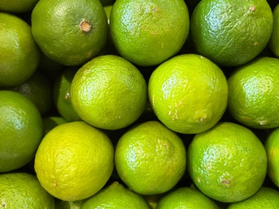 Foto Lime Calibro 54/60 Varietà Limes  Origine Brasile Marchio Select Limes 2