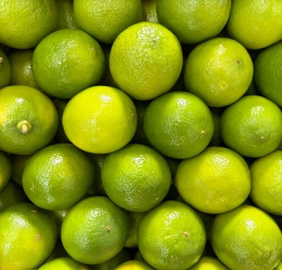 Foto Limes Calibro 42/48 Origine Brasile Marchio Fast Green   2