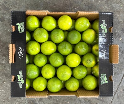 Foto Limes Calibro 42/48 Origine Brasile Marchio Fast Green   3