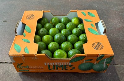 Foto Lime Confezione Da 4 Kg Origine Brasile Marchio Selected Limes 1