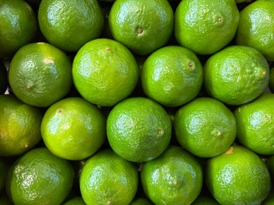 Foto Lime Confezione Da 4 Kg Origine Brasile Marchio Selected Limes 2