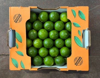 Foto Lime Confezione Da 4 Kg Origine Brasile Marchio Selected Limes 3