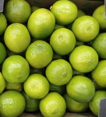 Foto Lime Confezione Da 4 Kg Origine Brasile Marchio Blu Box 2