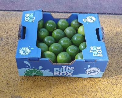 Foto Lime Calibro 48 Origine Brasile Marchio The Blu Box 1