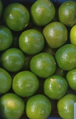 Foto Lime Calibro 48 Origine Brasile Marchio The Blu Box 2