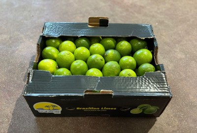 Foto Lime Calibro 42/48 Origine Brasile Marchio Brazilian Limes                1