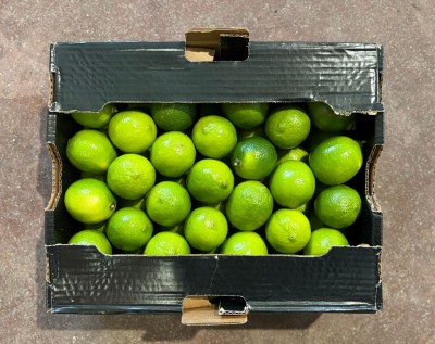 Foto Lime Calibro 42/48 Origine Brasile Marchio Brazilian Limes                3
